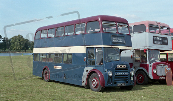 Norfolks of Nayland BRR85C Woburn Showbus RP36 070986 028