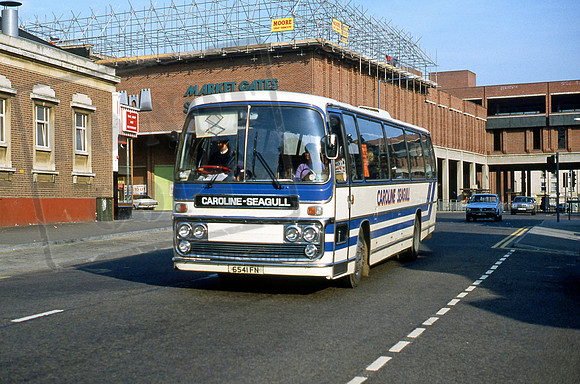 Caroline Seagull 6541FN 10/84