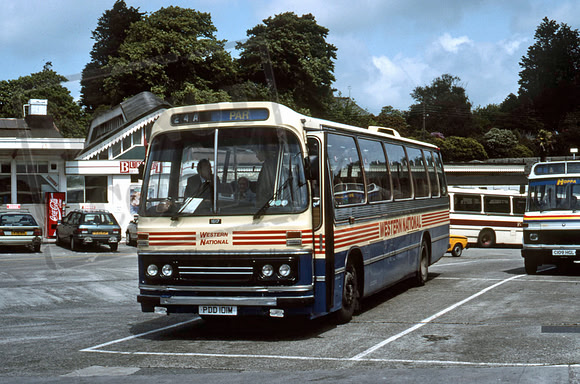 WNOCPDD101MStAustellPB691