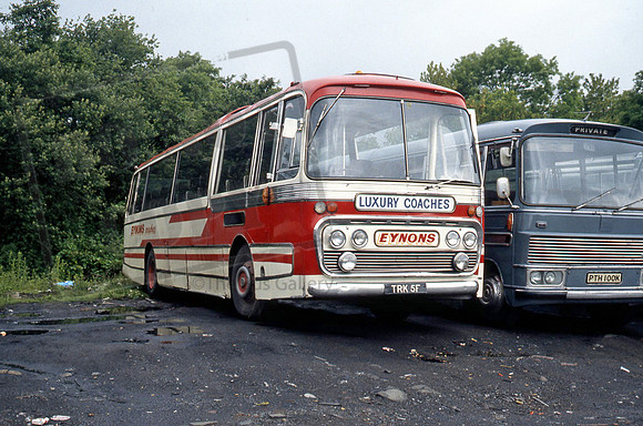 Eynon of Trimsaren TRK5F PB782