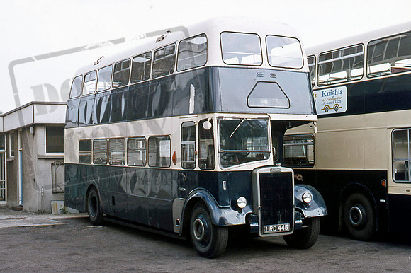 Whippet LRC445
