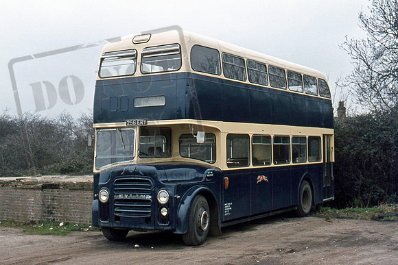 Whippet 256ERY