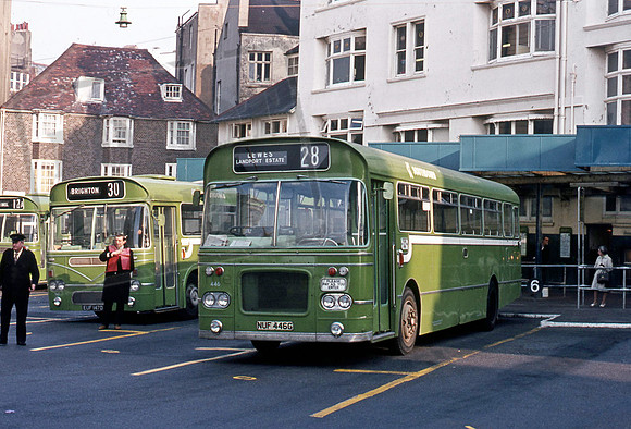Southdown NUF446G