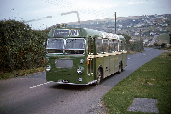 BDV249C (668)