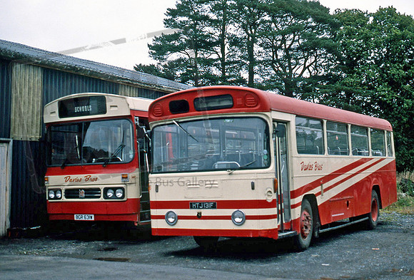 Davies of Pencader HTJ131F PB1087