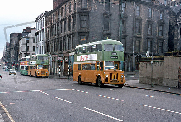 Glasgow SGD309